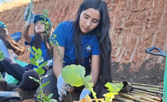 Curacaví se viste de verde con jornada de reforestación en el Parque San Mateo 